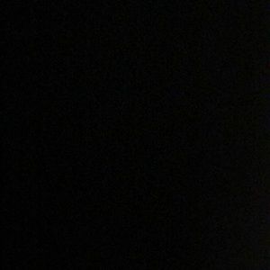 Meet your Posher, Lily